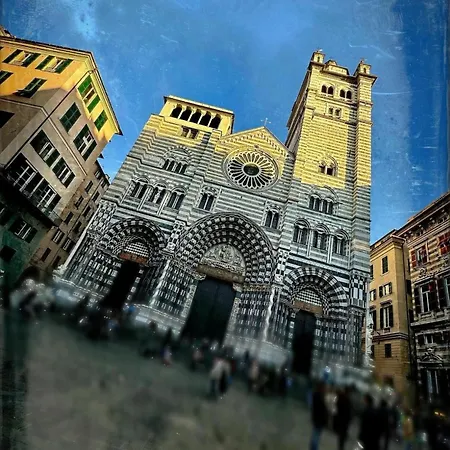 Colors